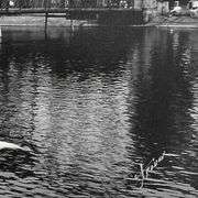 Swiss Dream by Aronov, Misha