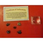 5 Genuine Meteorites with Authenticity Certificate