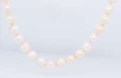 6mm Fresh Water Pearl Necklace