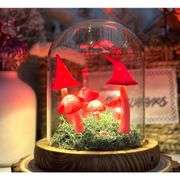 Mushroom Lamp in Glass Dome Wooden Base