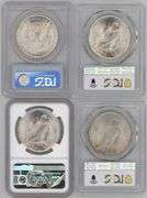 Near Gem BU 1921 Morgan & 1922 to 1924 Peace Silver Dollars. PCGS & NGC MS64
