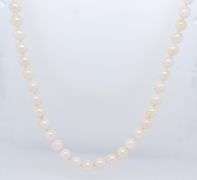 6mm Fresh Water Pearl Necklace