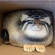 Plush Body Cat Soft Pillow 18-inch