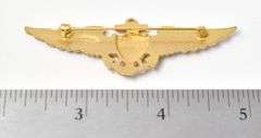 Winged Shield Brooch 14k Plated 9.3grams