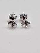 14 Kt White Gold Plated  2.5 Ct VVs1 Ice Blue Fire Moissanite Earrings
