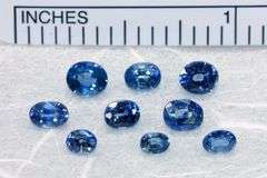 Natural Sri Lankan Sapphires - Lot of 9