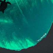 Turtle swimming above by Wyland Original