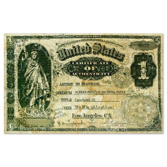 Camo Splash D by Mr Brainwash