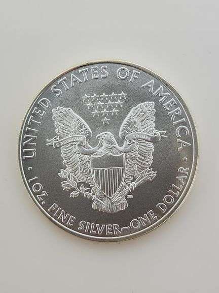 2010 American Silver Eagle
