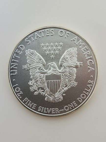 2010 American Silver Eagle