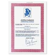 Nu Bleu IV by Henri Matisse (1869-1954)