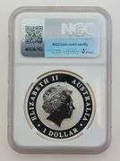 2017 P Australian Koala, NGC MS69