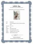 Highly Collectible and Rare Salvador Dali Original Llithograph from the 'Biblia Sacra' Suite