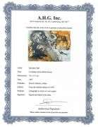 Highly Collectible and Rare Salvador Dali Original Lithograph from the 'Biblia Sacra' Suite