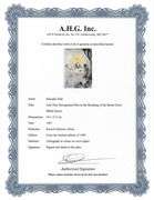 Highly Collectible and Rare Salvador Dali Original Llithograph from the 'Biblia Sacra' Suite