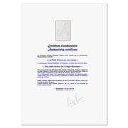 The Little Prince On A High Mountain by Antoine de Saint-Exupery (1900-1944)