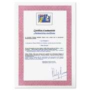 Le Cirque by Henri Matisse (1869-1954)