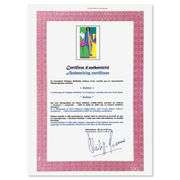 Zulma by Henri Matisse (1869-1954)