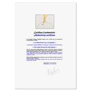 The Little Prince On His Planet by Antoine de Saint-Exupery (1900-1944)