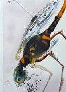 Highly Collectible and Rare Salvador Dali Original Lithograph from the 'Biblia Sacra' Suite