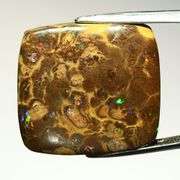 Huge! 33.08ct Queensland Boulder Opal