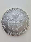 2005 American Silver Eagle