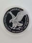 2025 W Laser Engraved Privy Silver Eagle, OGP