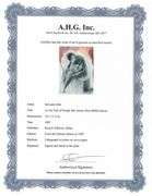 Highly Collectible and Rare Salvador Dali Original Lithograph from the 'Biblia Sacra' Suite