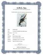 Highly Collectible and Rare Salvador Dali Original Lithograph from the 'Biblia Sacra' Suite