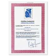 Nu Bleu III by Henri Matisse (1869-1954)