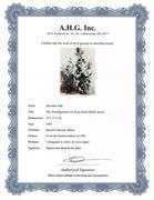 Highly Collectible and Rare Salvador Dali Original Lithograph from the 'Biblia Sacra' Suite Salvador