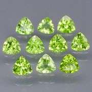 Glittering! 4.70ct 5x5mm trillion cut Peridot set