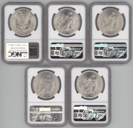 5 Near Gem BU NGC MS64 Silver Dollars 1921 to 1925