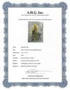 Highly Collectible and Rare Salvador Dali Original Llithograph from the 'Biblia Sacra' Suite