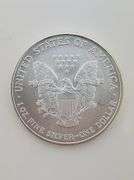 2006 American Silver Eagle