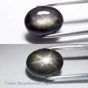 Collectors alert! 4.01ct UNTREATED black and silver Star Sapphire!