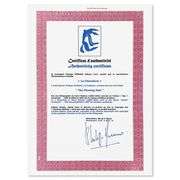 La Chevelure by Henri Matisse (1869-1954)