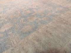 Exquisite Zighler Rug 6.8x9.8