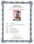 Highly Collectible and Rare Salvador Dali Original Lithograph from the 'Biblia Sacra' Suite