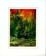 Reality's Dream Kamran Kharavani Reality's Dream