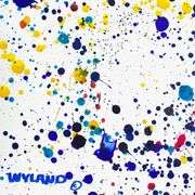 Untitled Abstract by Wyland