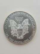 2010 American Silver Eagle