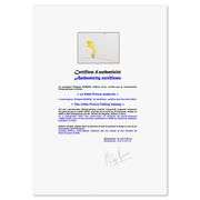 The Little Prince Falling Asleep by Antoine de Saint-Exupery (1900-1944)