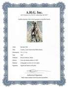 Highly Collectible and Rare Salvador Dali Original Llithograph from the 'Biblia Sacra' Suite