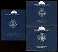 3 Different Proof Silver Eagles in Box w/CoA: 2004, 2007, 2008
