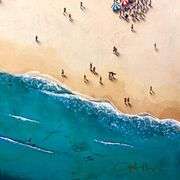 Populus: Hot Feet by Craig Alan