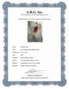 Highly Collectible and Rare Salvador Dali Original Llithograph from the 'Biblia Sacra' Suite