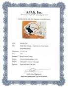 Highly Collectible and Rare Salvador Dali Original Lithograph from the 'Biblia Sacra' Suite