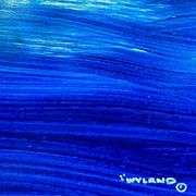 Whale Tail by Wyland