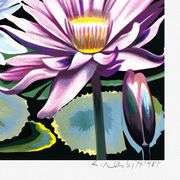 Water Lily II by Lowell Nesbitt
